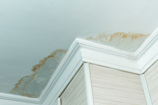 Featured image for “How To Repair Water-Damaged Ceiling”