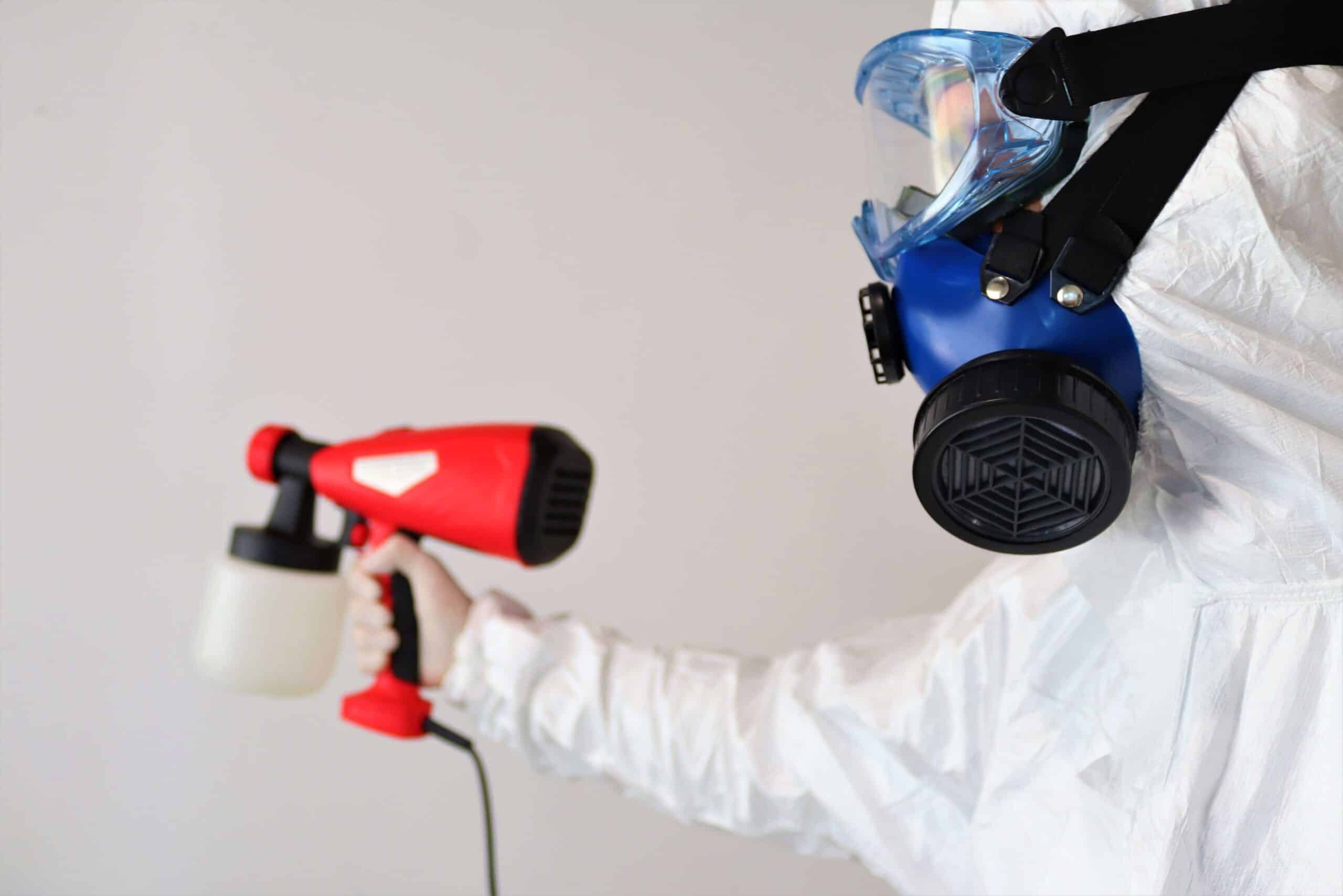 Featured image for “Mold Removal Cost – Facts and Figures”