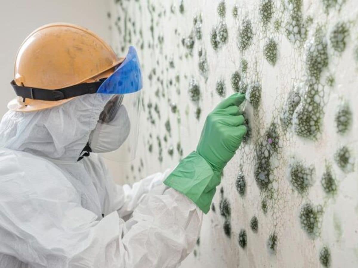 Featured image for “How Much Does Mold Mitigation Cost? A Homeowner’s Complete Guide”