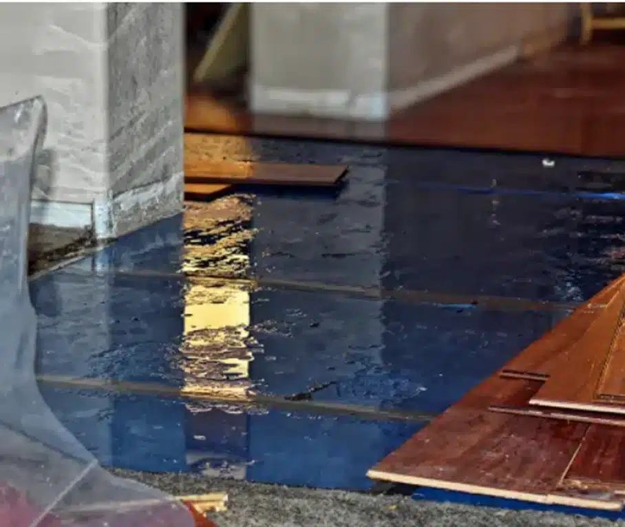 Top-Rated Water Restoration Company in Clearwater